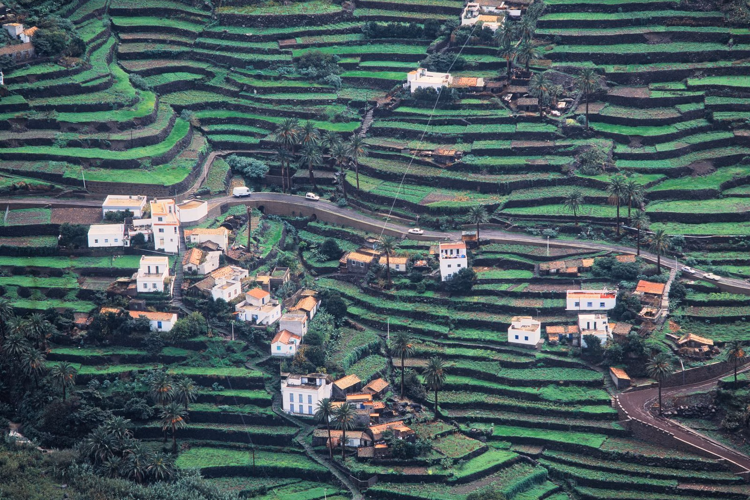 Die grünen Terrassen und weißen Häuser von Valle Gran Rey