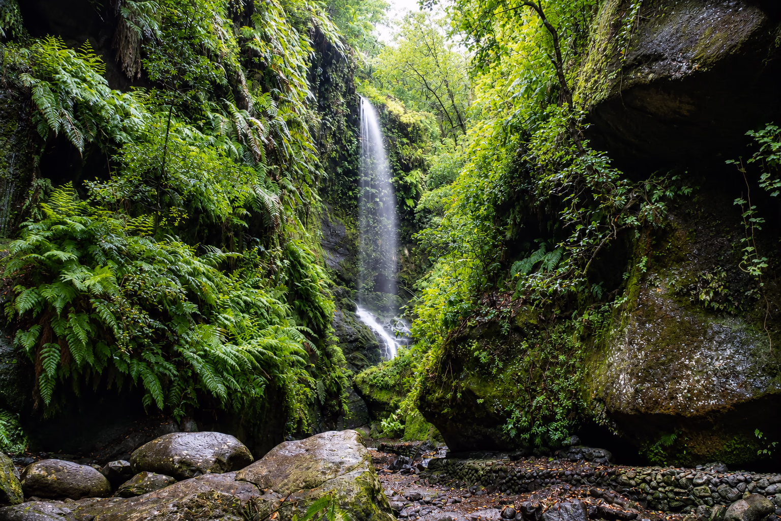 La cascata di Los Tilos tra le felci e la laurisilva