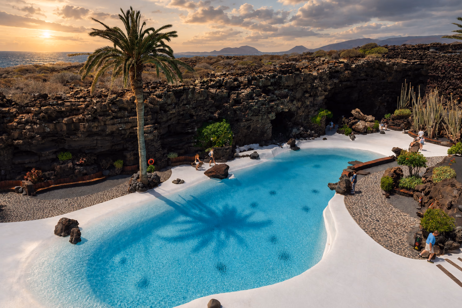 Der weiß-türkise Pool der Jameos del Agua, mit einer Palme