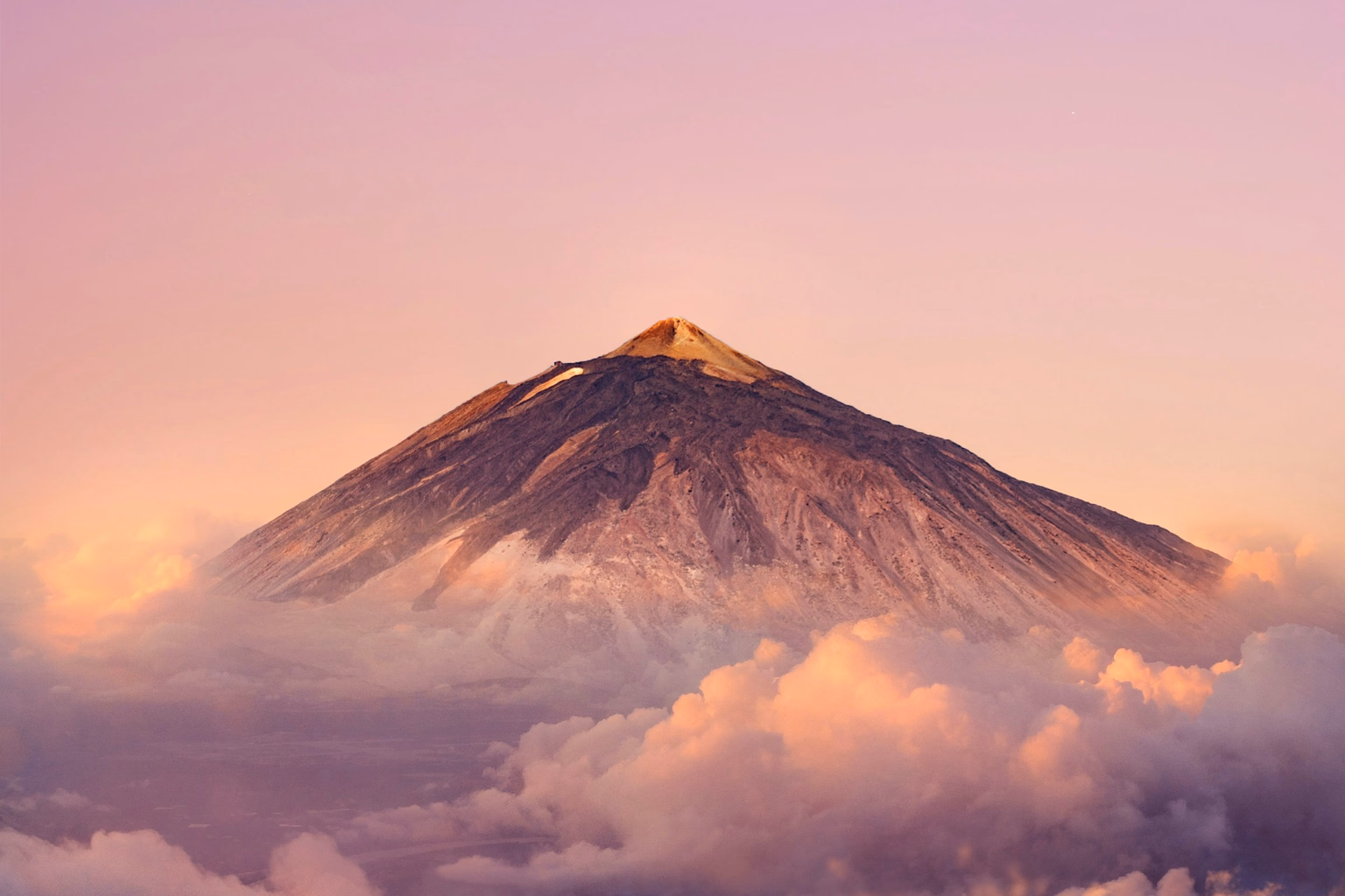 Der Gipfel des Teide, der aus dem Wolkenmeer ragt, im rosa Licht des Sonnenuntergangs